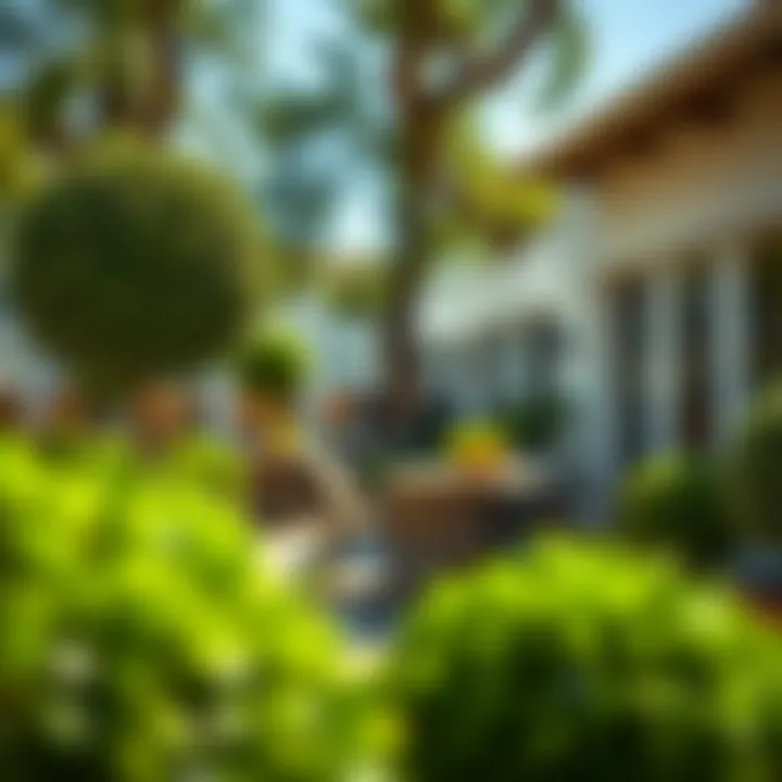 An outdoor patio setting enhanced by strategically placed artificial topiary balls.