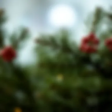 Intricate Textures of Artificial Pine Boughs Close-up view of artificial pine boughs showcasing intricate details and textures