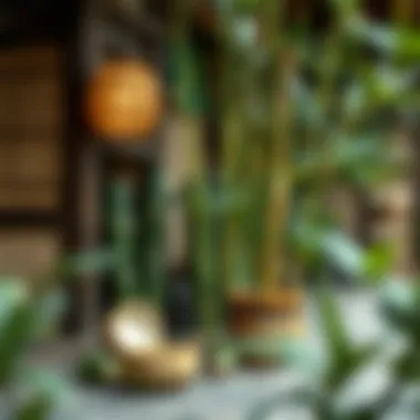 Historical Significance of Bamboo in Medicine An illustration depicting the historical use of bamboo in traditional medicine.