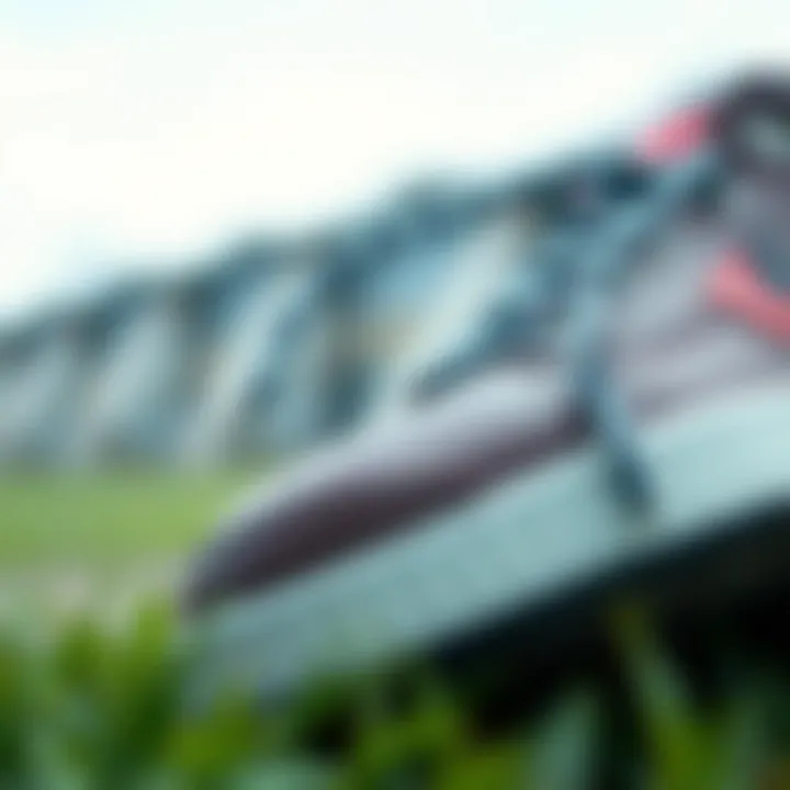 Sustainable materials used in shoelace production