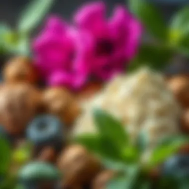 Natural ingredients used in DIY deodorizer solutions.