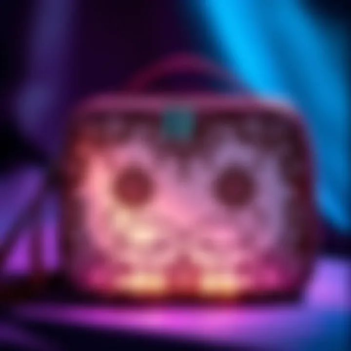 Elegant aesthetic makeup bag showcasing intricate designs