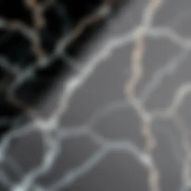 Close-up of black marble adhesive paper showcasing texture and detail