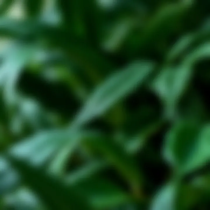 Close-up of Intricate Details on Artificial Foliage Close-up of intricate details on artificial foliage