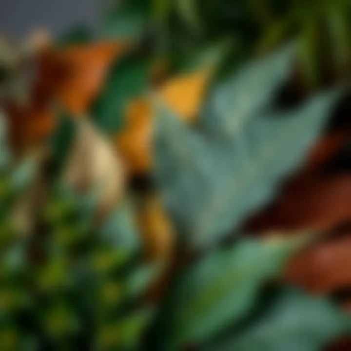 Variety of Sustainable Materials for Artificial Leaves Variety of sustainable materials used in creating artificial leaves