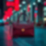 Distinctive Features of the Forever Young Bag The Forever Young Bag showcasing its unique design elements