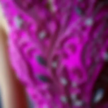 Close-up of intricate detailing on a magenta gown