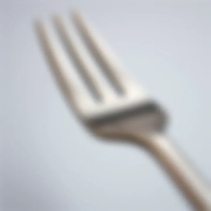 Close-up of matte finish on stainless steel fork showcasing its texture.