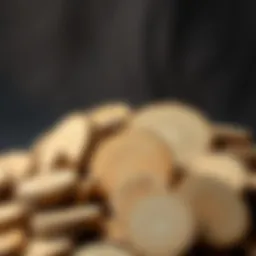 A collection of round wooden discs showcasing their natural textures.