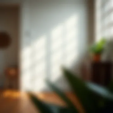 Maintenance tips for keeping self-adhesive shiplap looking fresh and new