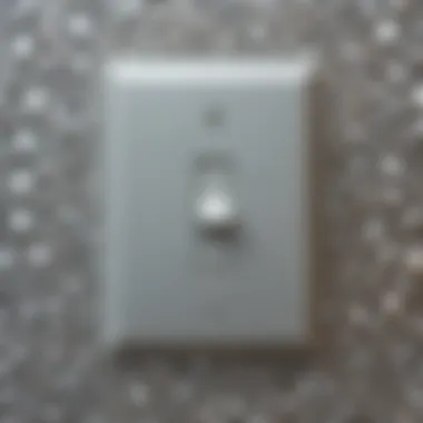 Close-up of rhinestone details on a light switch cover