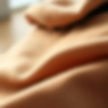 Sustainable Materials for Comfort Close-up of soft, sustainable fabric used in dog hoodies