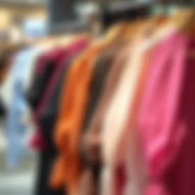 A Spectrum of Styles: Blouses for Every Occasion Variety of blouse styles showcased on a rack