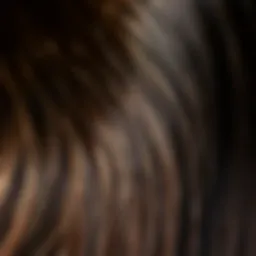 A close-up view of yaki straight hair extensions showcasing texture and shine