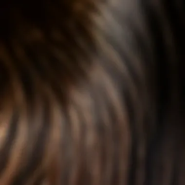 Yaki Straight Hair Extensions Texture A close-up view of yaki straight hair extensions showcasing texture and shine