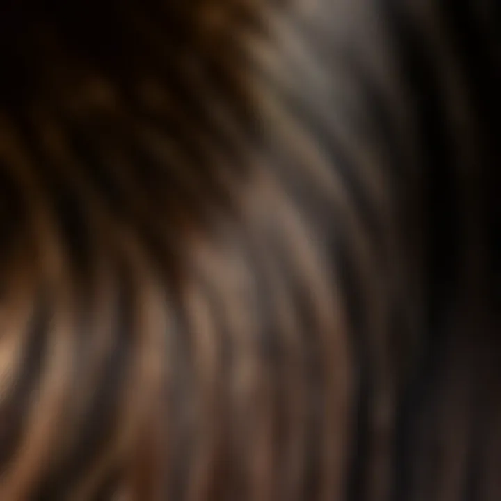 Yaki Straight Hair Extensions Texture A close-up view of yaki straight hair extensions showcasing texture and shine