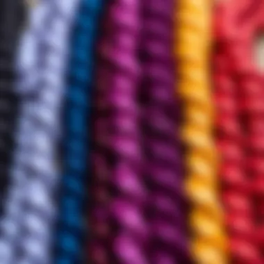 Stylish arrangement of Freetress Spring Twist extensions in various colors