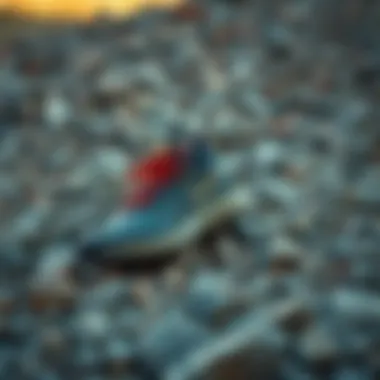 Stylish Water Shoes on Rocky Terrain Stylish water shoes on rocky terrain