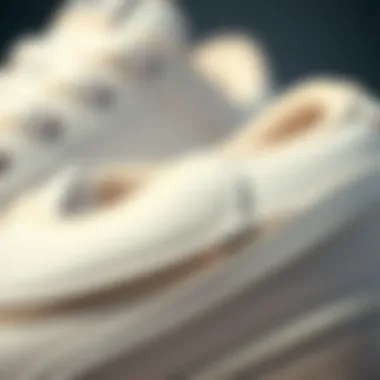 Close-up view of the Nike SB Alleyoop White showcasing its texture and materials