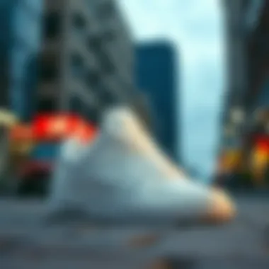 Nike SB Alleyoop White displayed in an urban setting highlighting its streetwear appeal