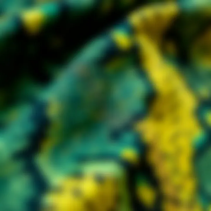 Textural Beauty of Snakeprint Fabric Close-up of snakeprint fabric showcasing its texture