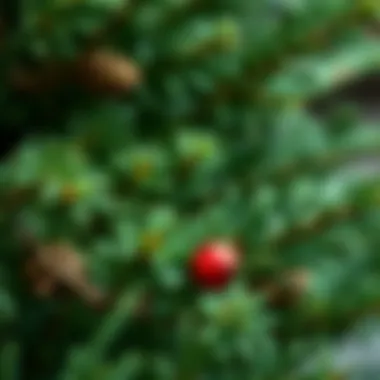 Sustainable Materials for Artificial Pine Boughs Sustainable materials used in the production of artificial pine boughs