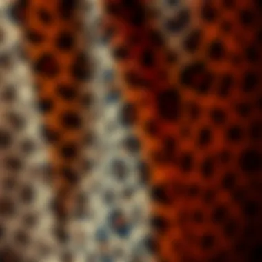 Intricate Texture of Cheetah Print Sarong Close-up of the intricate texture and pattern of a cheetah print sarong