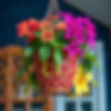 Elegant metal iron hanging flower pot with vibrant blooms