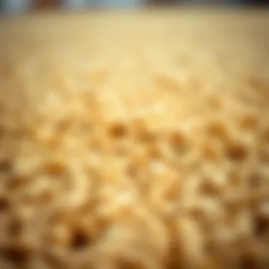 Eco-Friendly Materials for Modern Living Close-up of eco-friendly materials used in low pile door mats