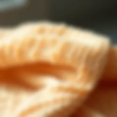 Guide for the care and maintenance of super absorbent chamois, featuring dos and don'ts.