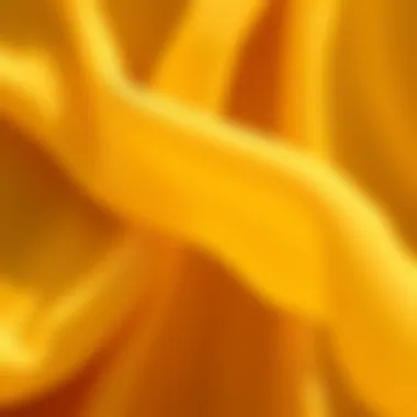 Texture Insights: Plus Size Chiffon Close-up of plus size chiffon fabric showcasing texture