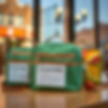 Care Tips for Eco-Friendly Lunch Bags Care tips displayed alongside eco-friendly lunch bags