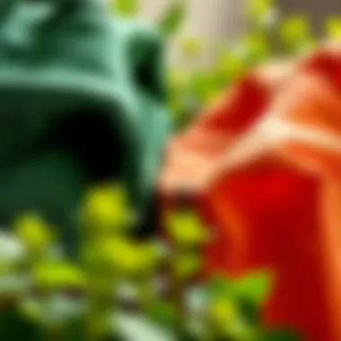 Sustainable Materials in Lunch Bags Close-up of sustainable materials used in lunch bags