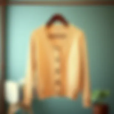 Classic Plain Cardigan A classic plain cardigan displayed on a stylish hanger