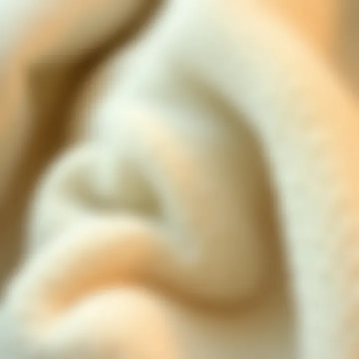 Close-up of luxurious fabric texture of a hoodie blanket